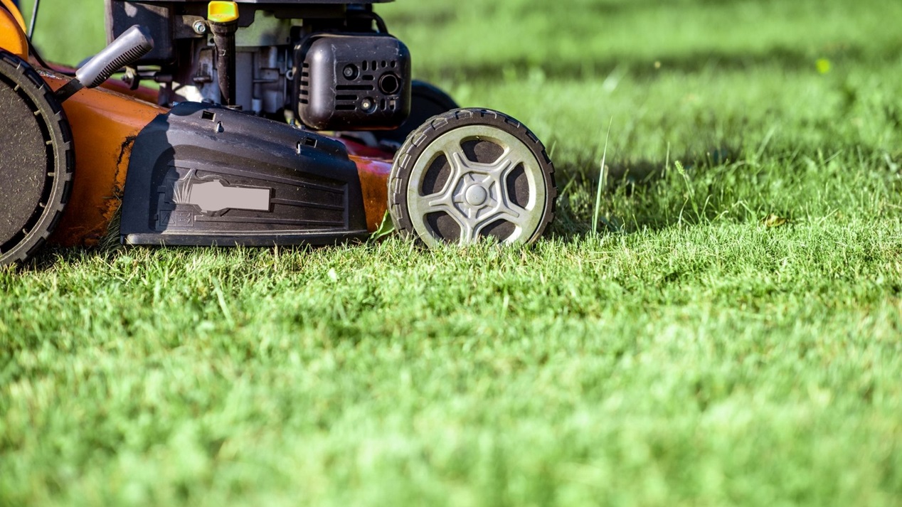 Top 3 Tips for Lawn Care after Aeration and Seeding | The Xders Home