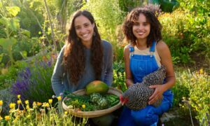 Succulent Farming