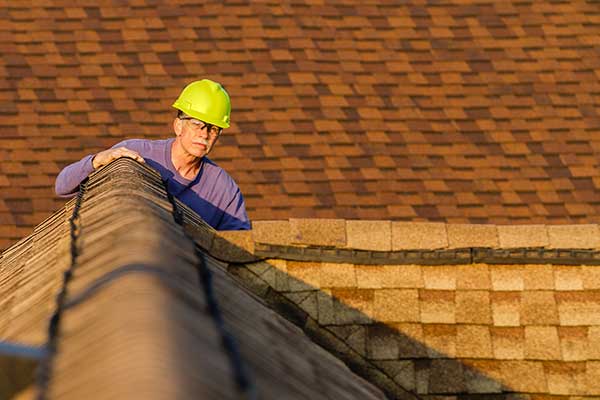 Roofing Expertise